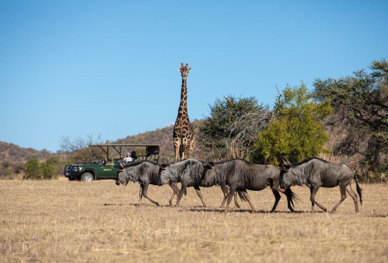 Mabula Game Lodge Mabula Game Reserve ภายนอก รูปภาพ