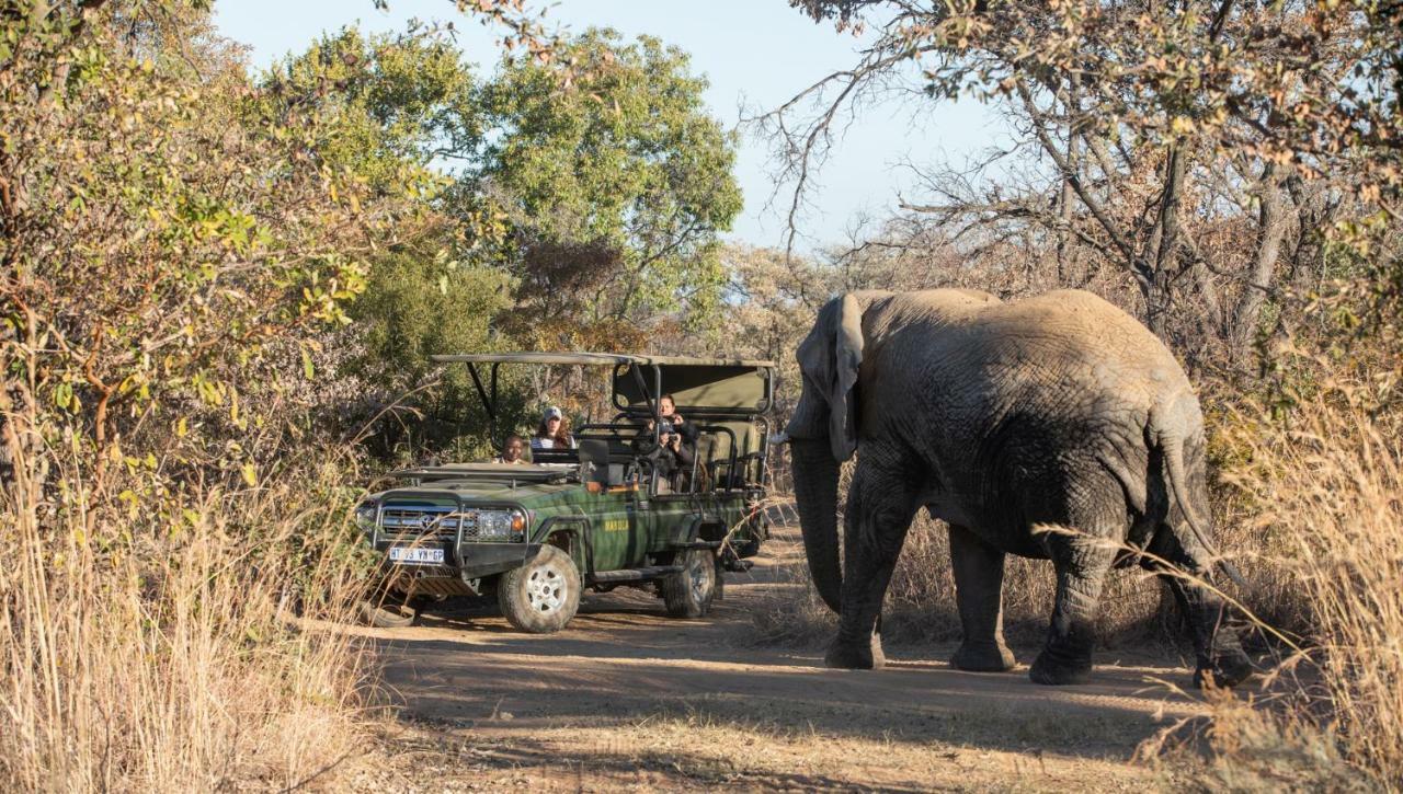 Mabula Game Lodge Mabula Game Reserve ภายนอก รูปภาพ