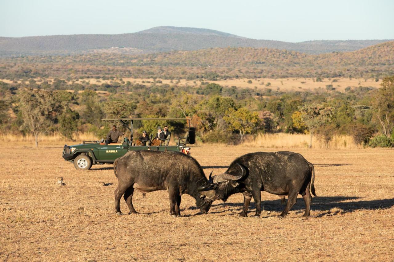 Mabula Game Lodge Mabula Game Reserve ภายนอก รูปภาพ