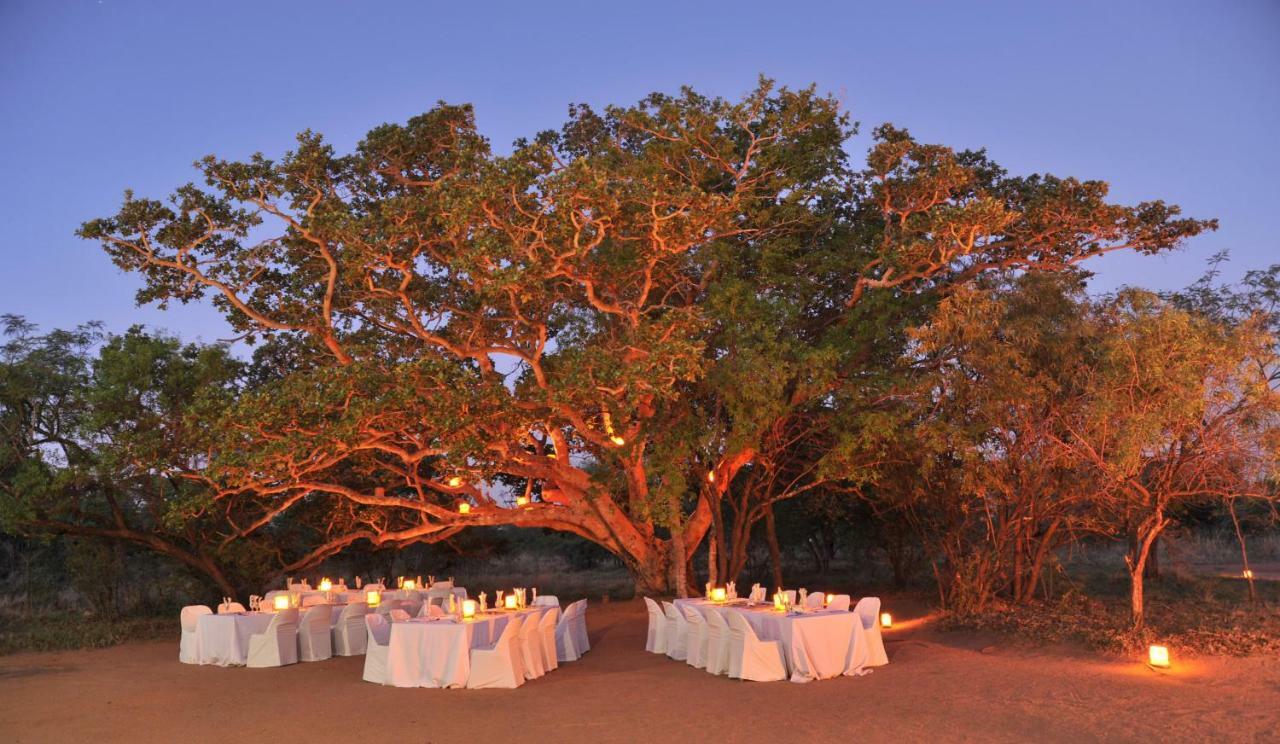 Mabula Game Lodge Mabula Game Reserve ภายนอก รูปภาพ