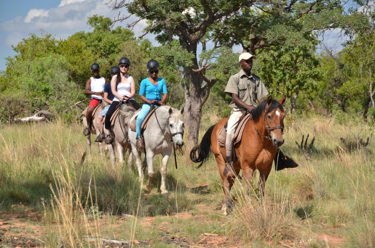 Mabula Game Lodge Mabula Game Reserve ภายนอก รูปภาพ